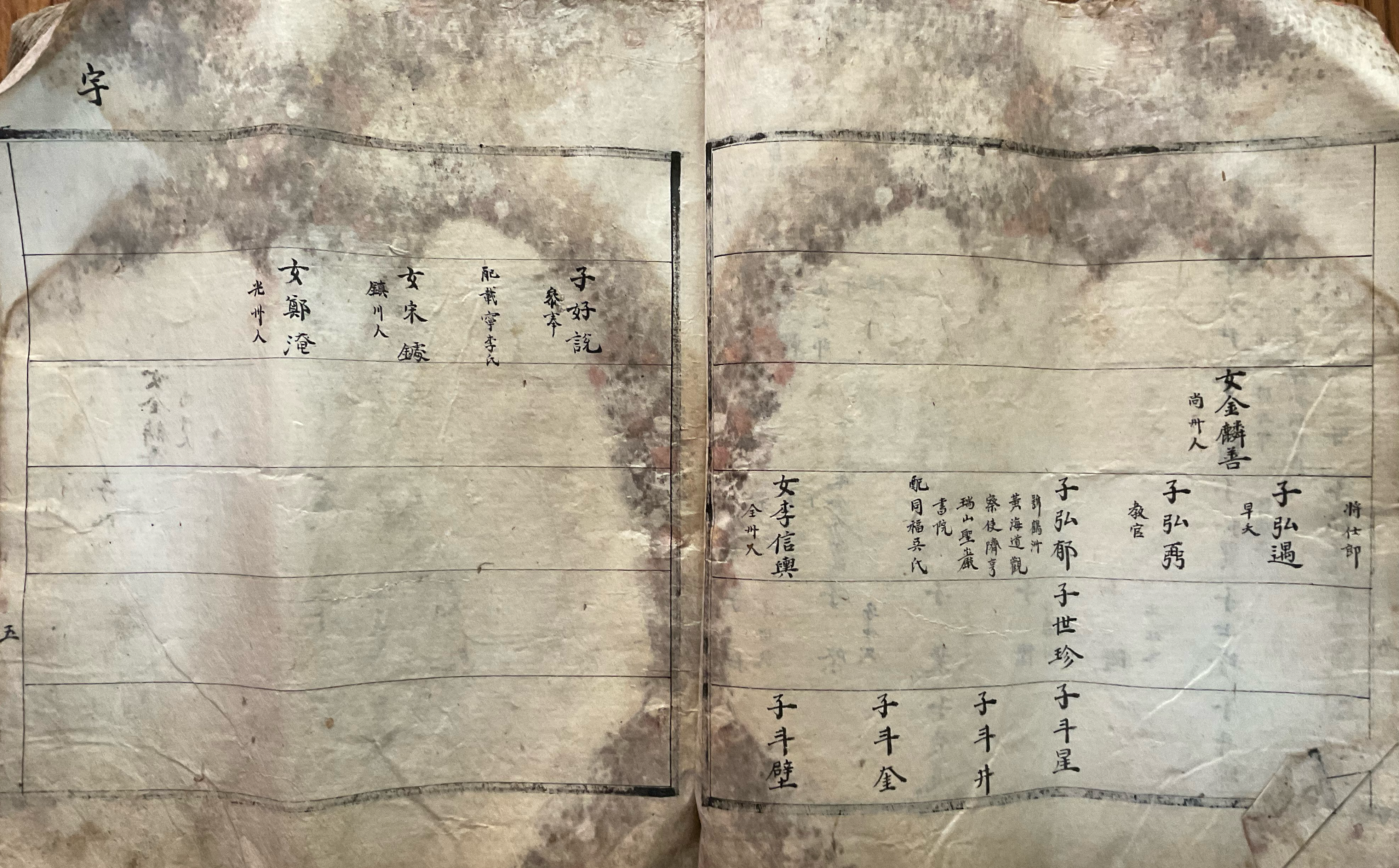 파보 宇 장