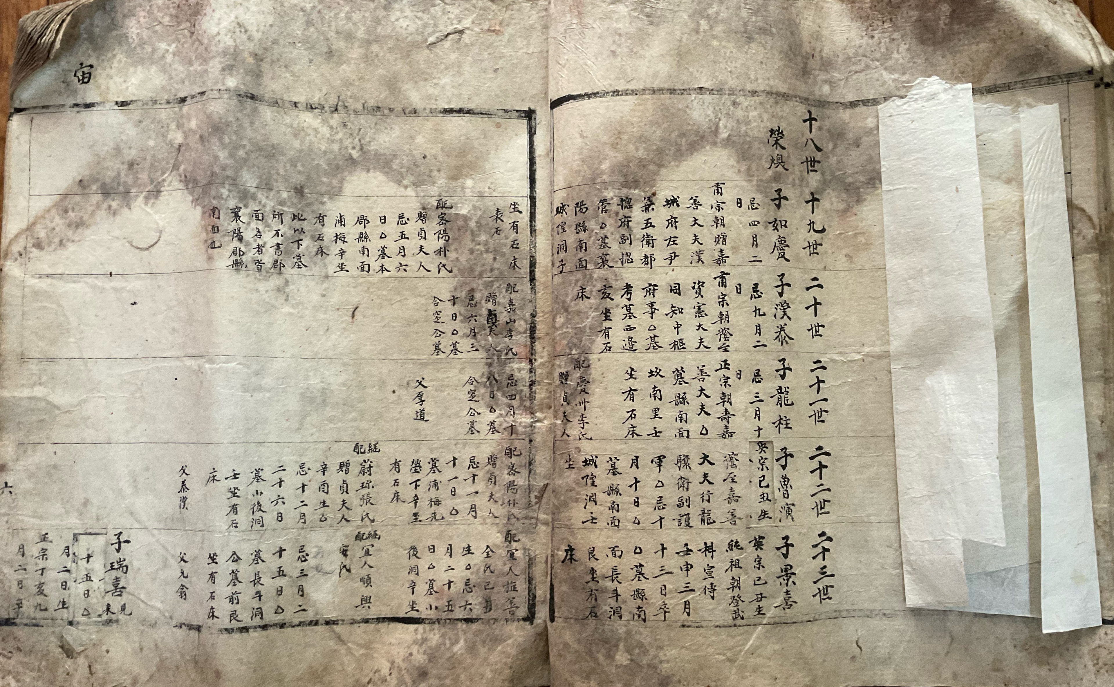 파보 宙 장